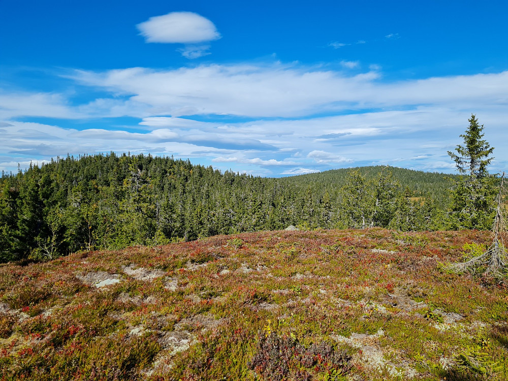 På den østre Veslehaugen 940 moh, mot Storhaugen og Grøtåshaugen