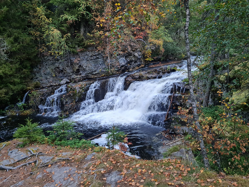 Mesnaelva