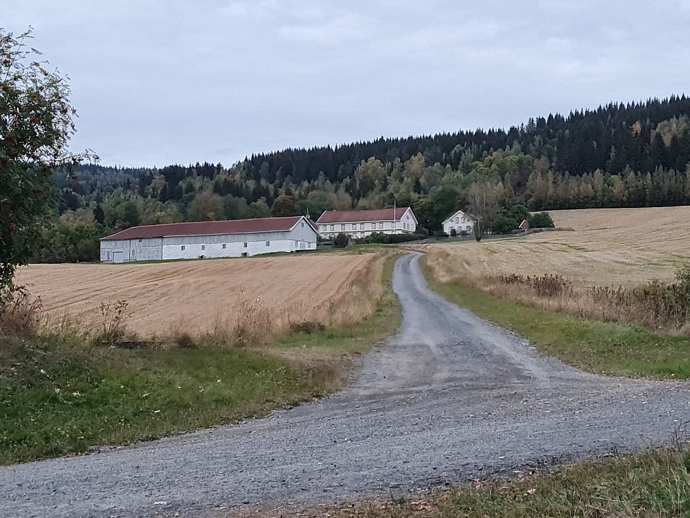Lysgaard