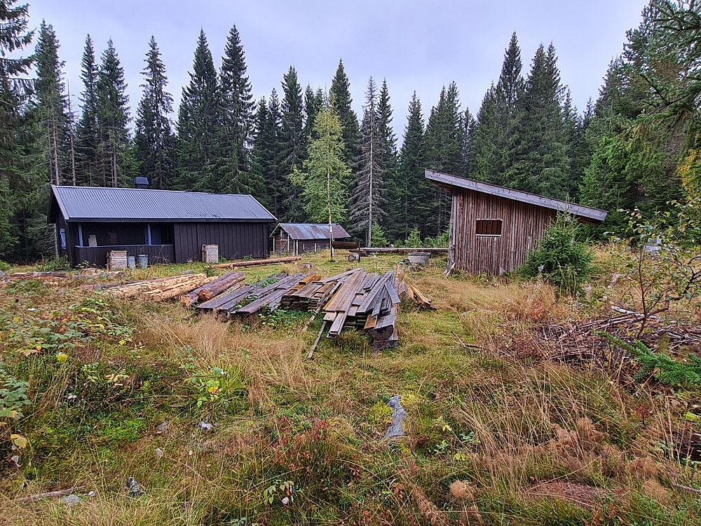 Turthaugvegen gapahuk