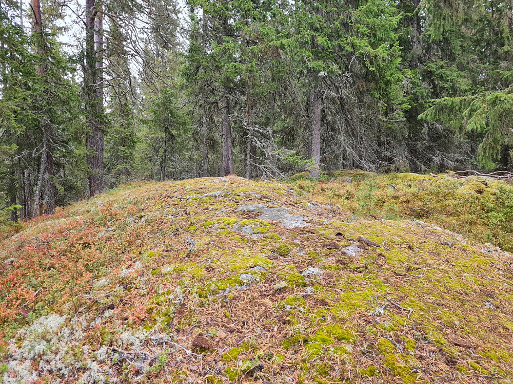 Rundhaugen