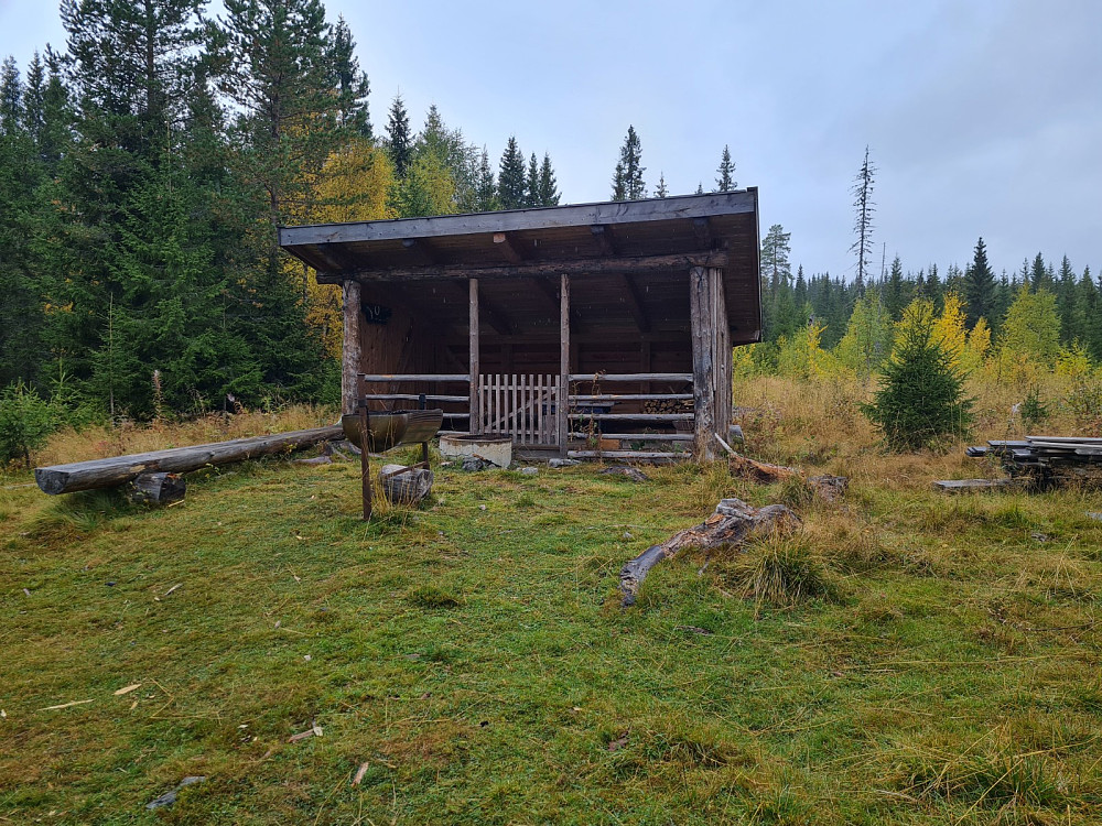 Turthaugvegen gapahuk