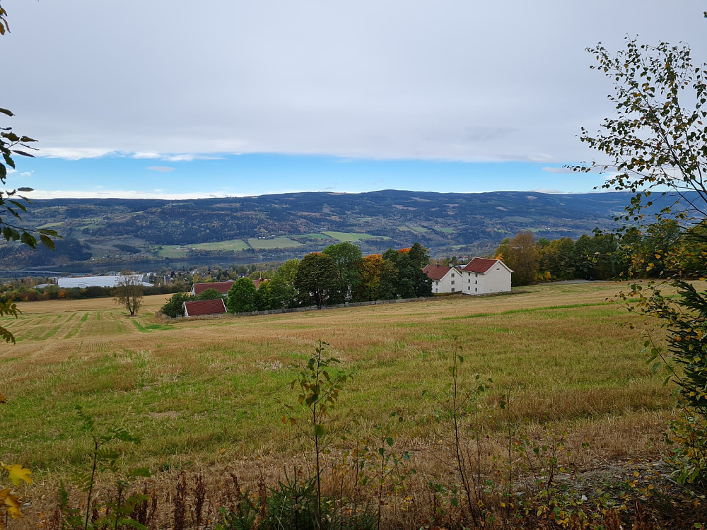 Lysgård