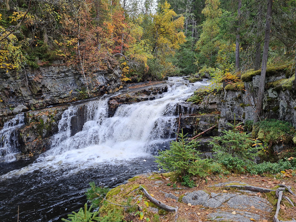 Foss i Mesna