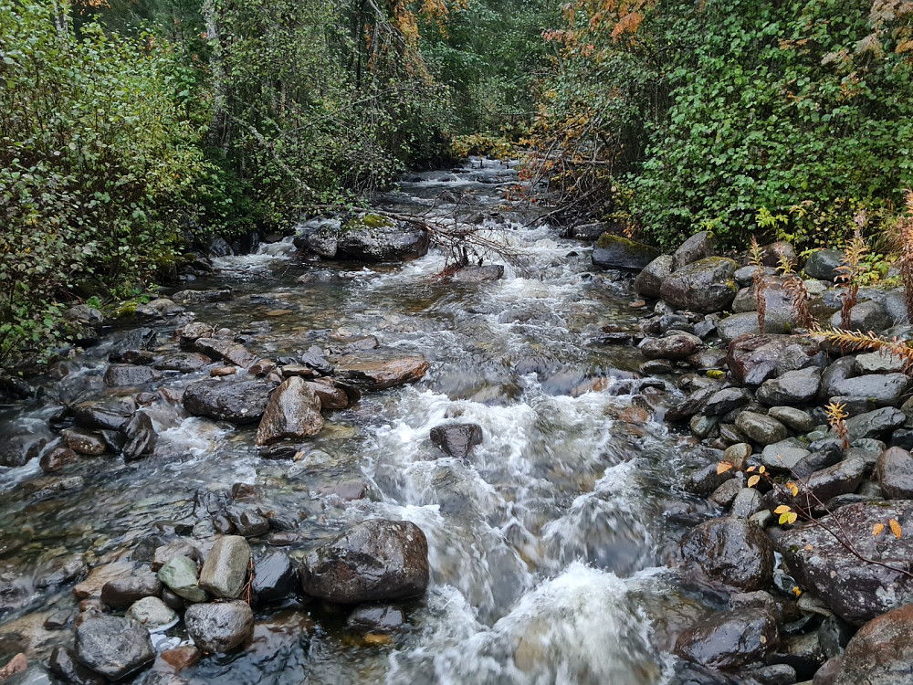 Djupåa