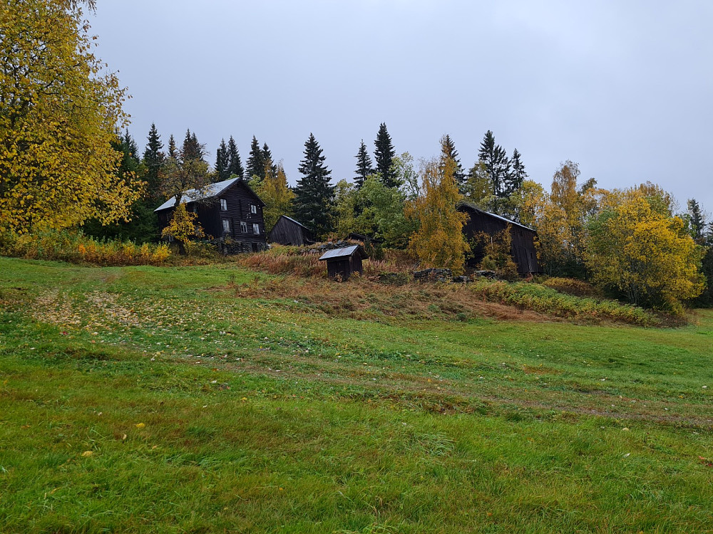 Hammershaug