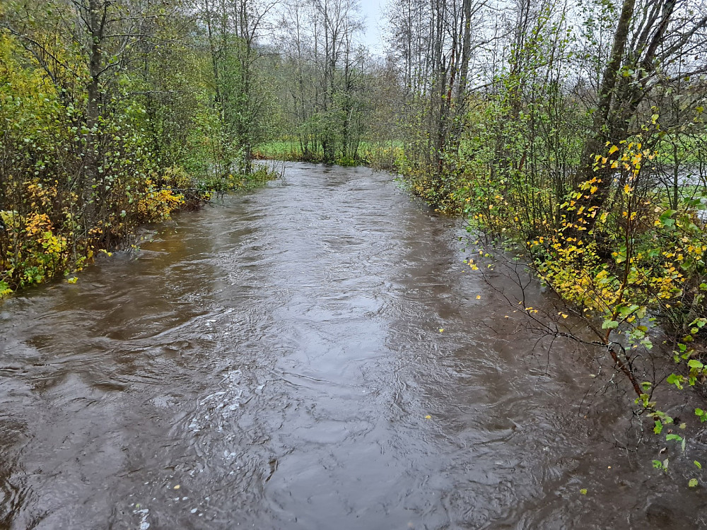 Flomstor Augga ved Ringabrua