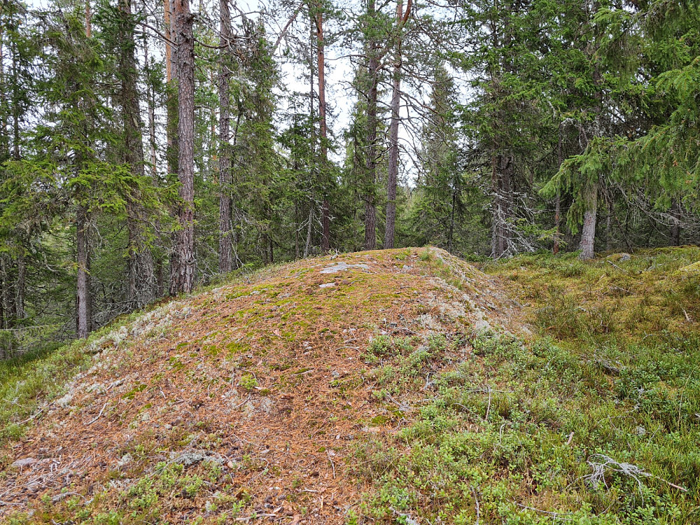 Rundhaugen