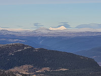 repelo_20211106_61867bde08670.jpg