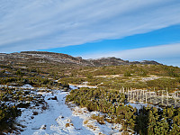 repelo_20211106_61867be12ab87.jpg