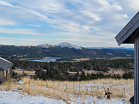 repelo_20211106_61867be37910d.jpg