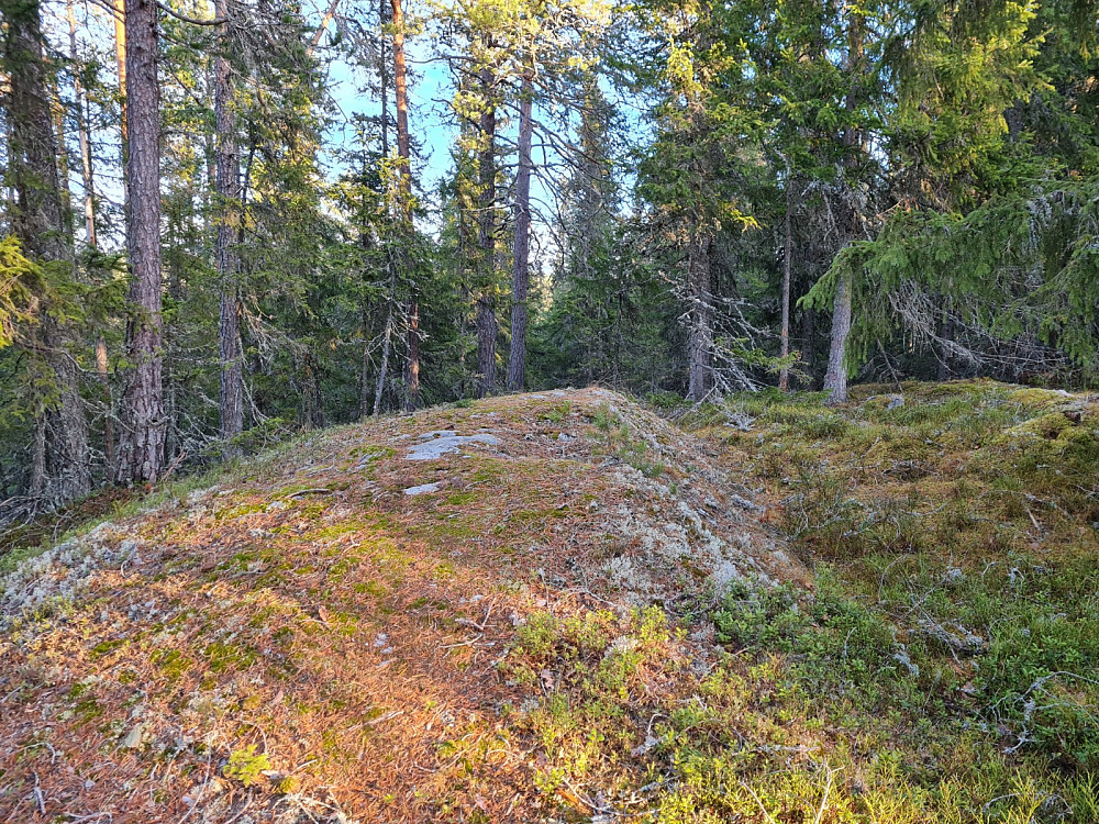 Rundhaugen