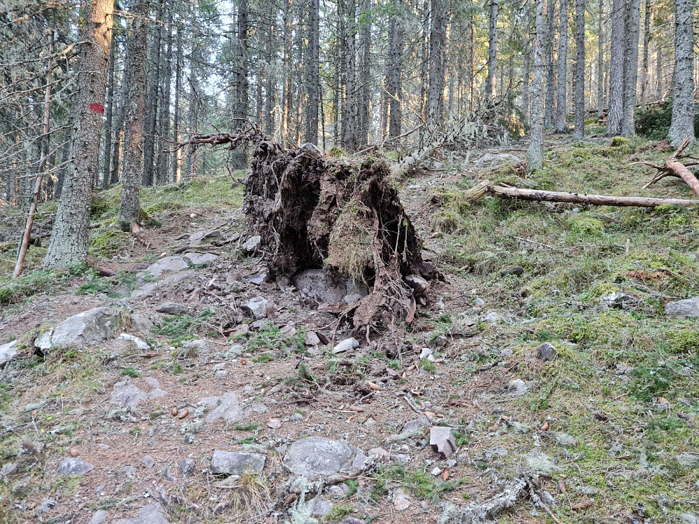 Trevelt i Løytnantstien