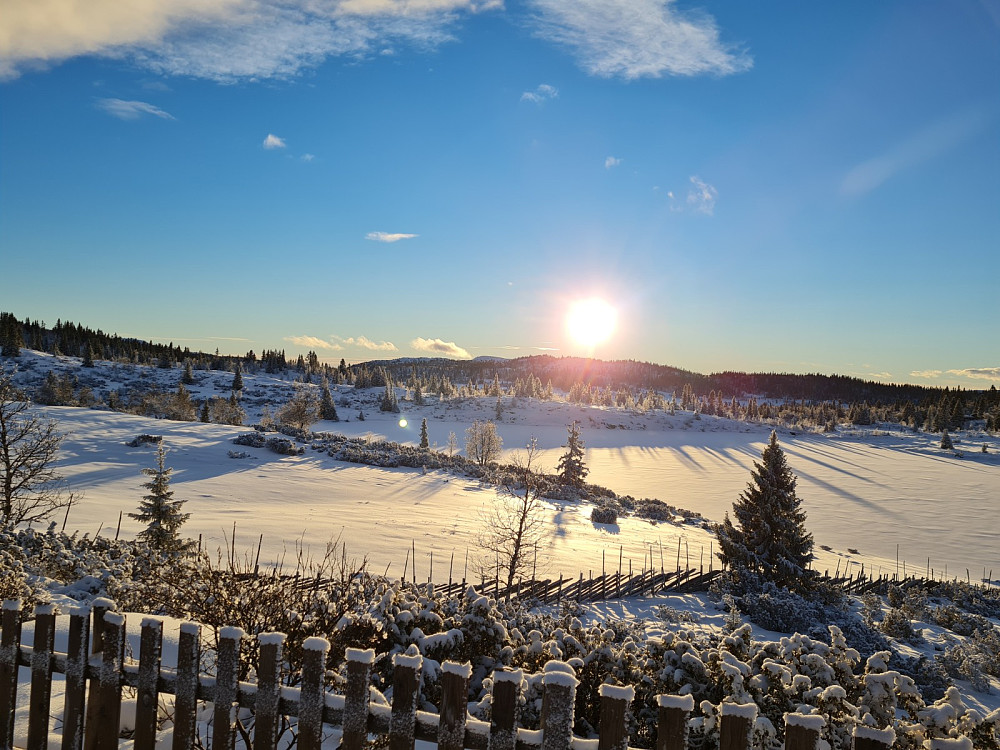 På Ginahytta