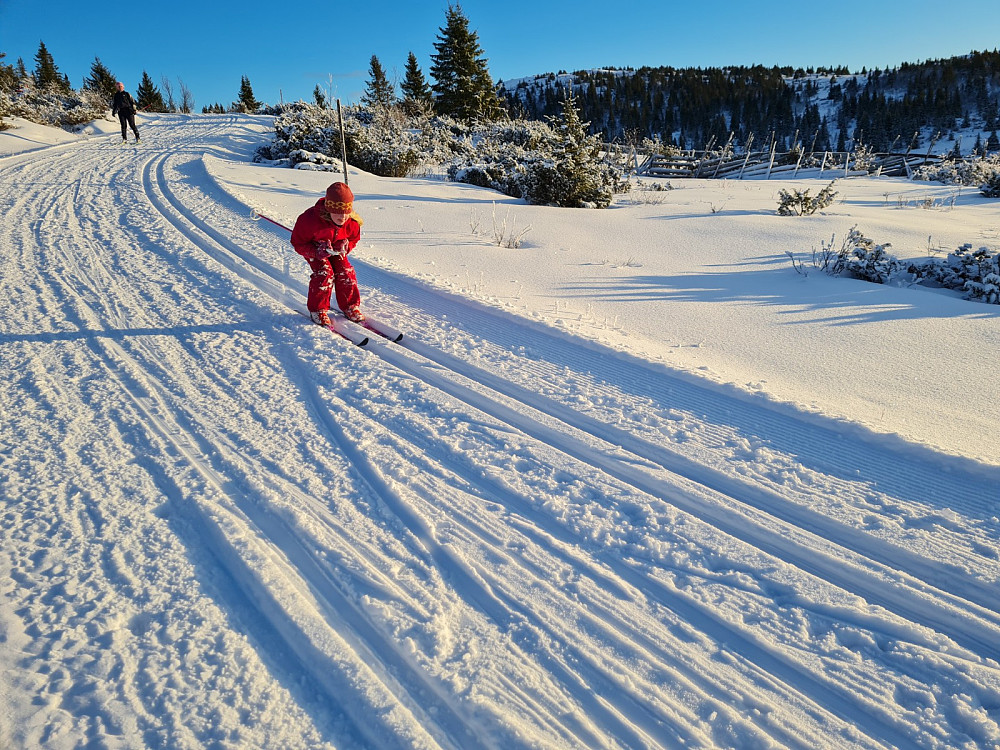 Mia ned mot Nysetra