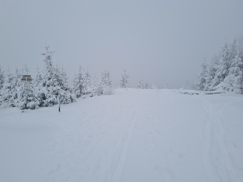 På Balbergkampen