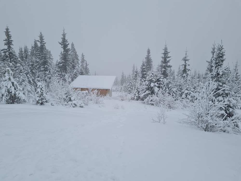 På Balbergkampen