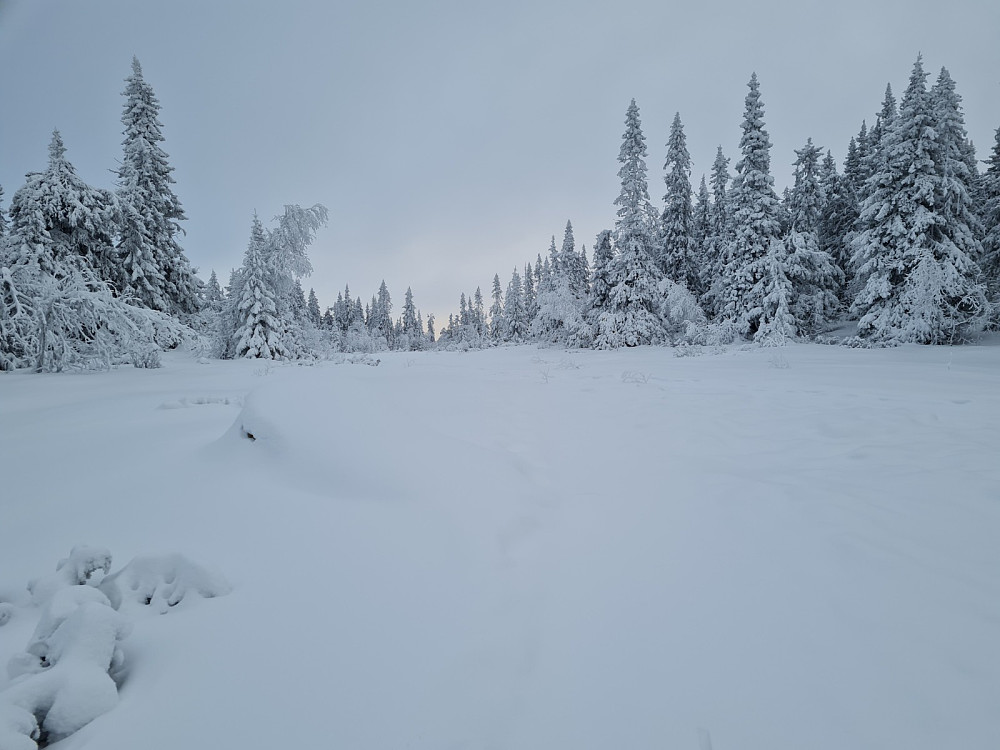 Klininggrautsteinen