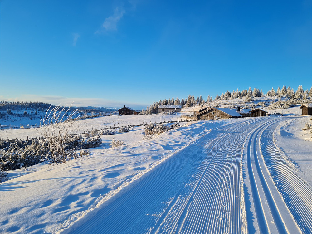 Nystugusetra og Nygardslisetra