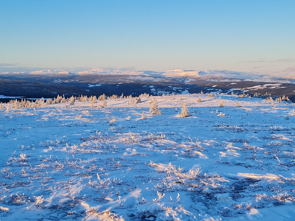 På Hærfjellet
