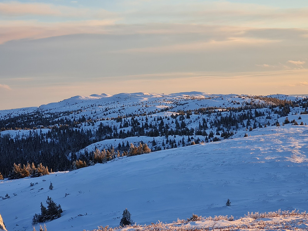 På Hærfjellet