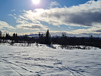 repelo_20220301_621e2da658601.jpg