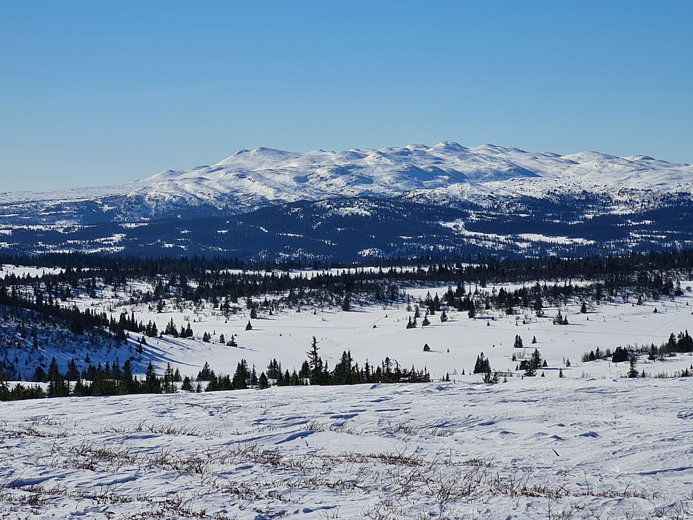 På Hærfjellet, mot Synnfjellet