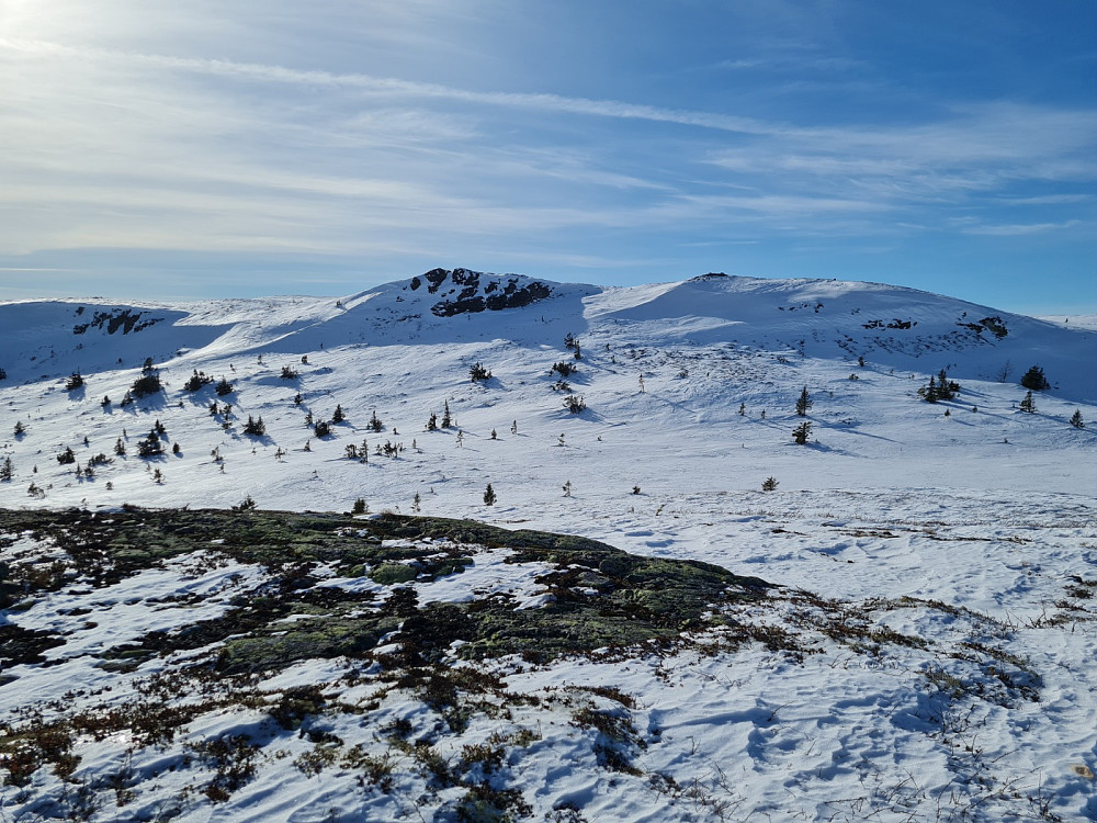 På Rævskorotjernhaugen]{
[[image:repelo_20220308_6227c8a2aa178.jpg|Prestkjerringa