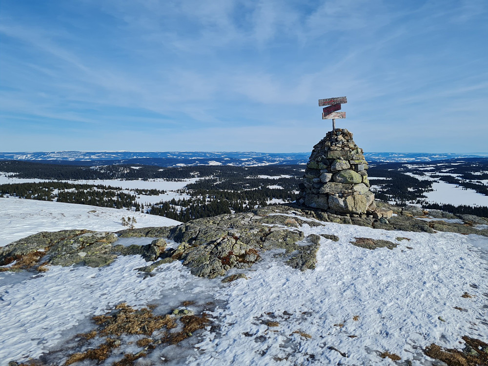 Prestkjerringa