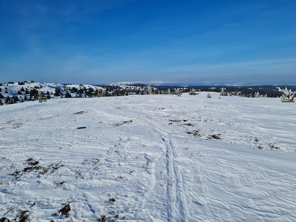 På Condruphaugen