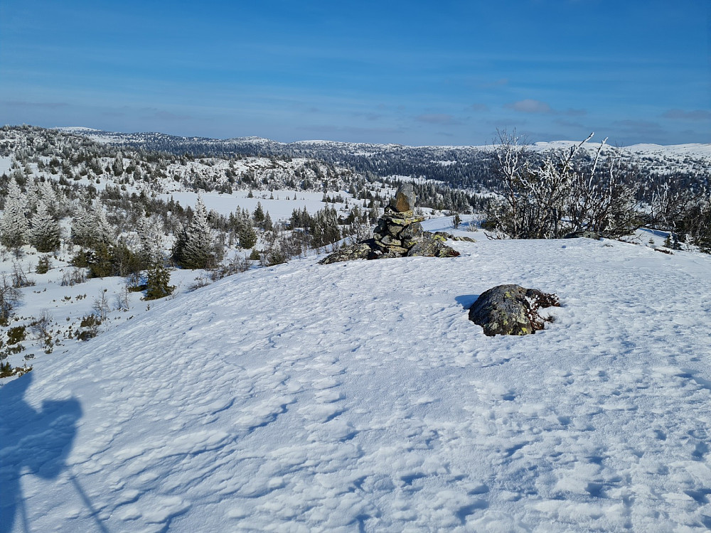 Blesterråkvarden