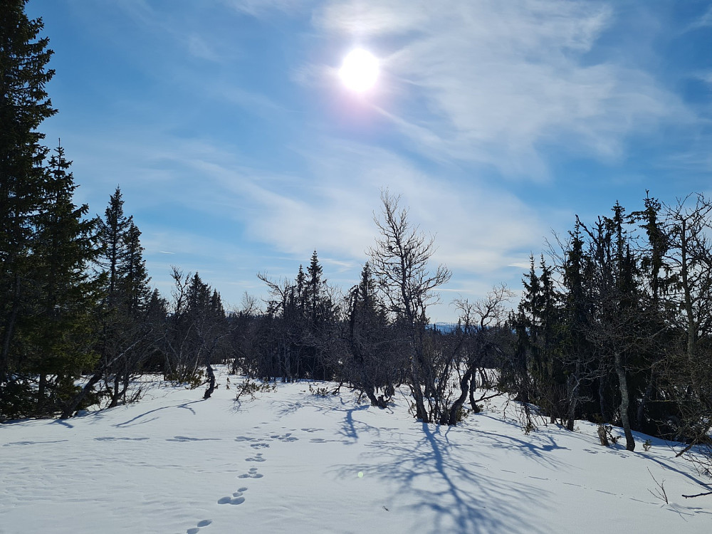 Værskeitoppen
