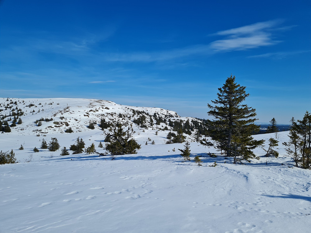 Gaustumseterfjellet nord