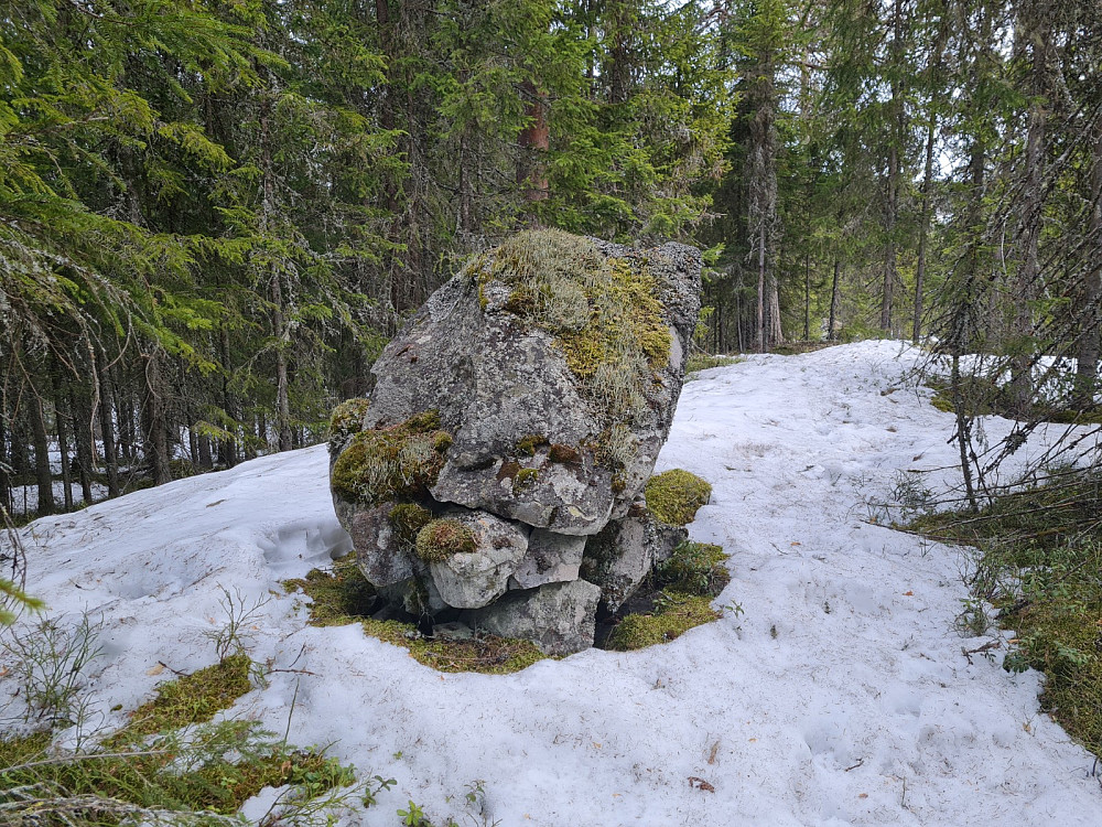 Torvmyra, punkt 543