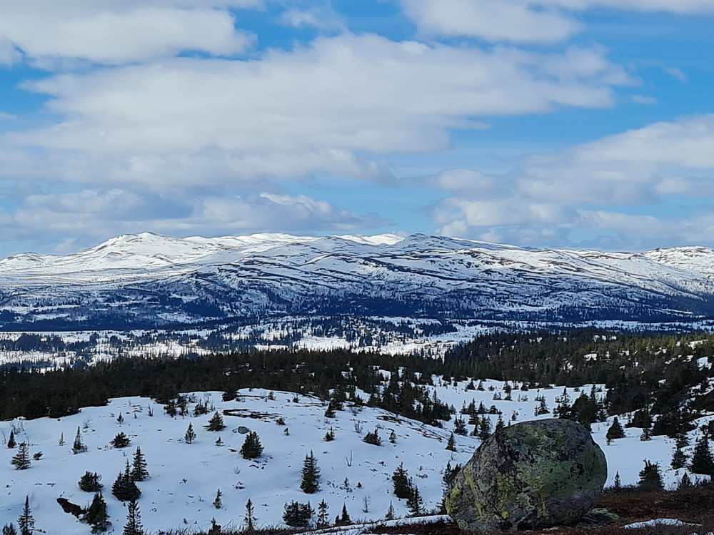 På Kjettberget, mot Synnfjellet