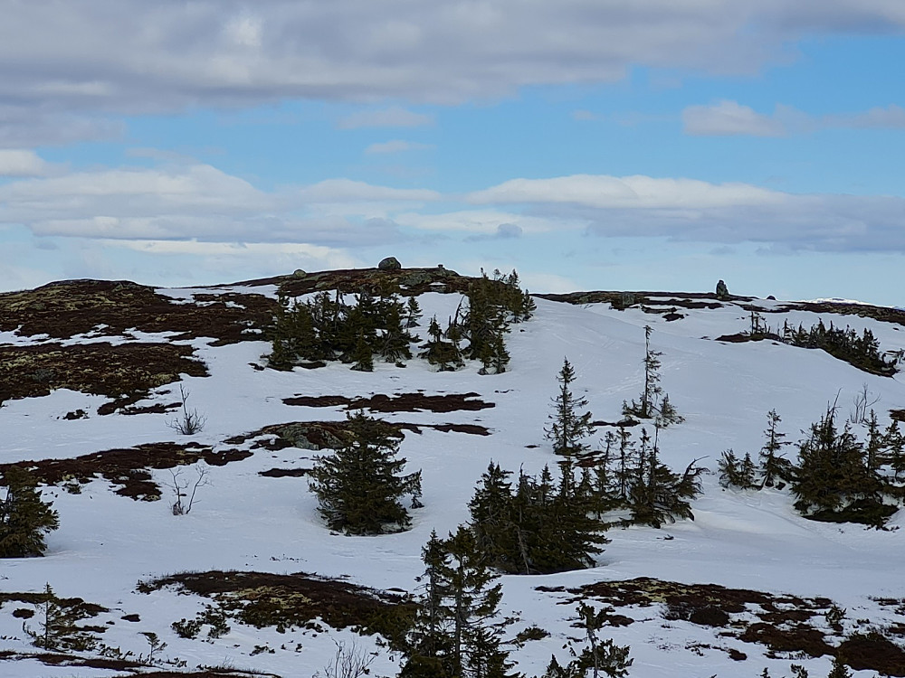 På Kjettberget, mot de høyeste punktene på Torpevassfjellet