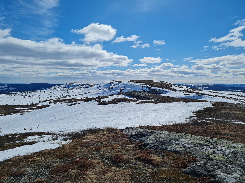 På Gammelhans, mot resten av Skjelbreidsfjellet