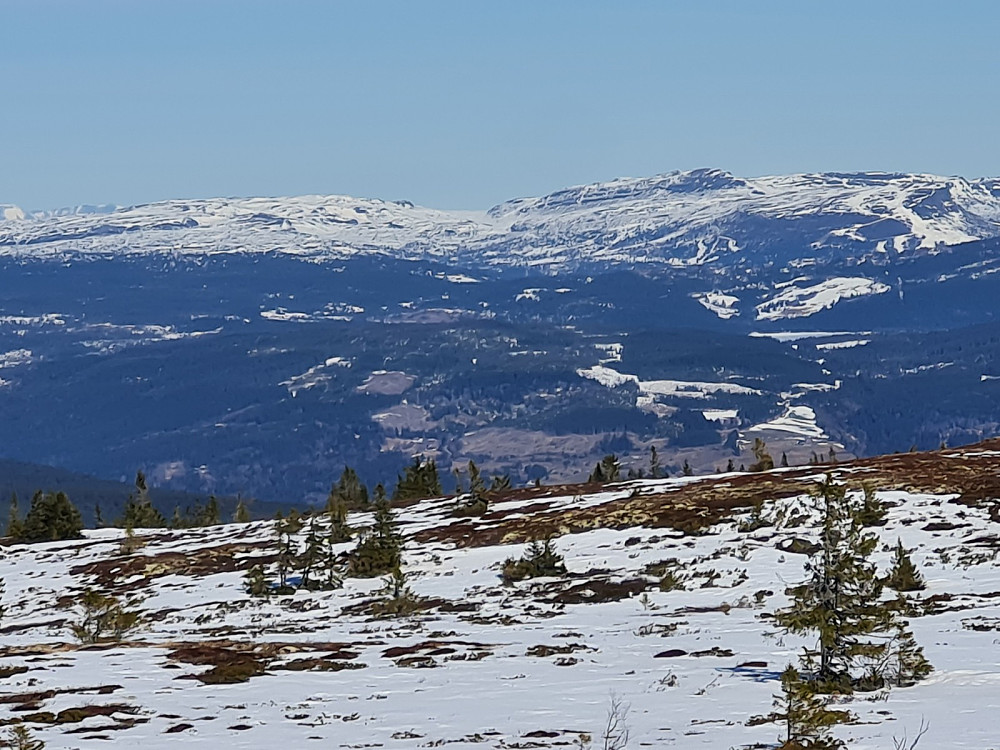 På Hærfjellet