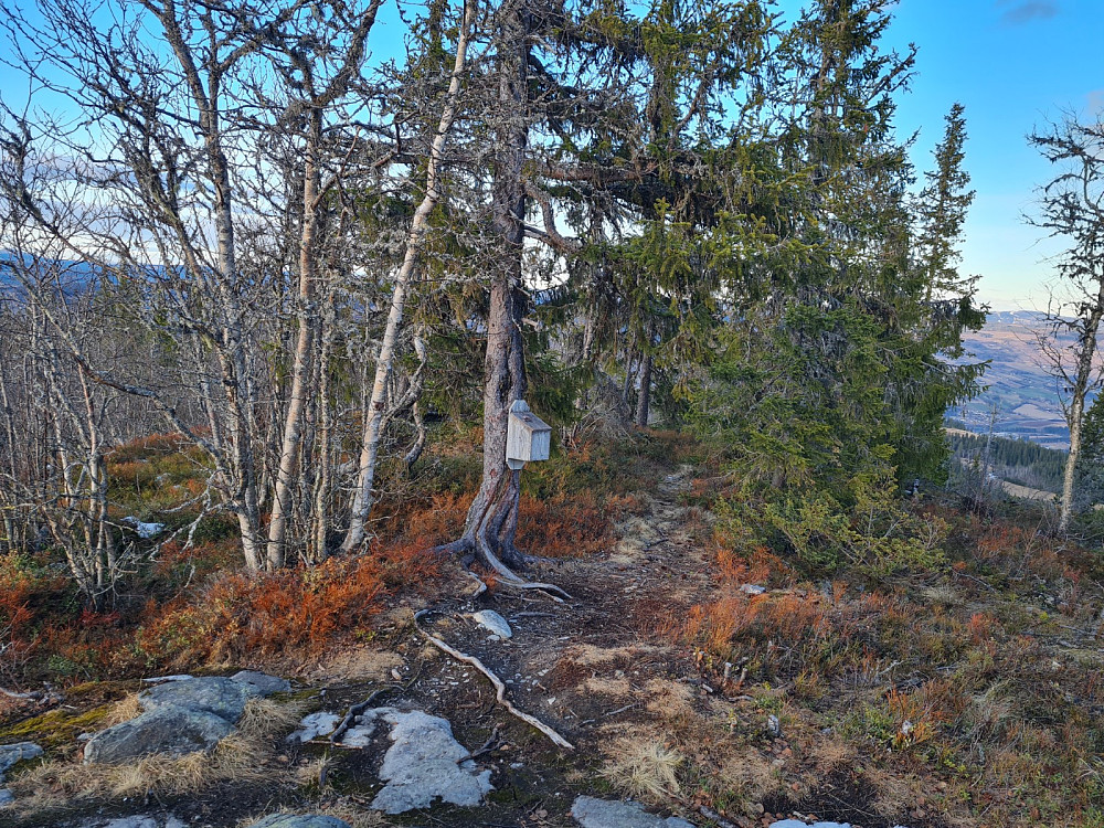 Vardkampen