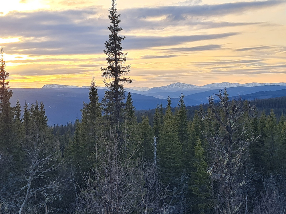 Utsikt mot Ongsjøfjellet og Gråhøene