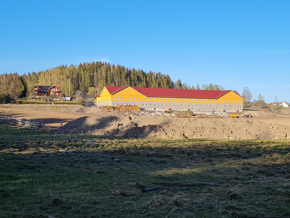 Stein gård, med Norges største private kufjøs, bygd opp igjen etter Brann for noen år siden