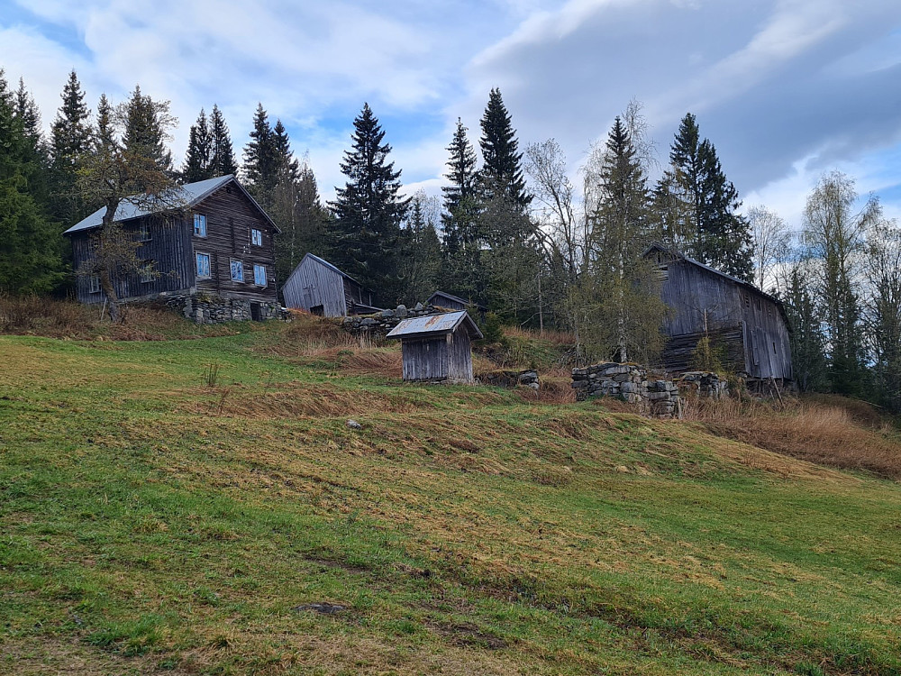 Hammershaug
