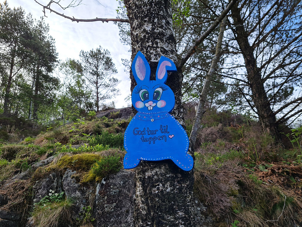 Humørspreder