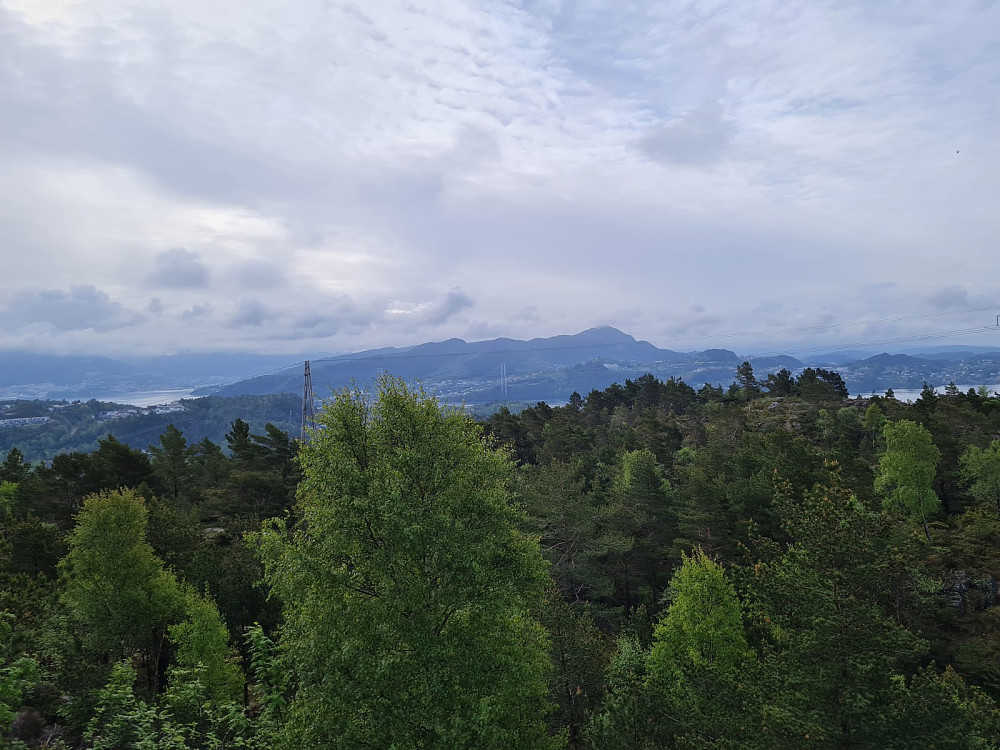 På Brenneklubben