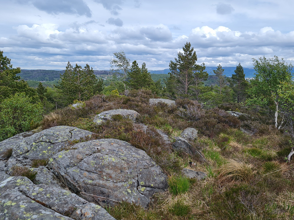 Midtfjellet