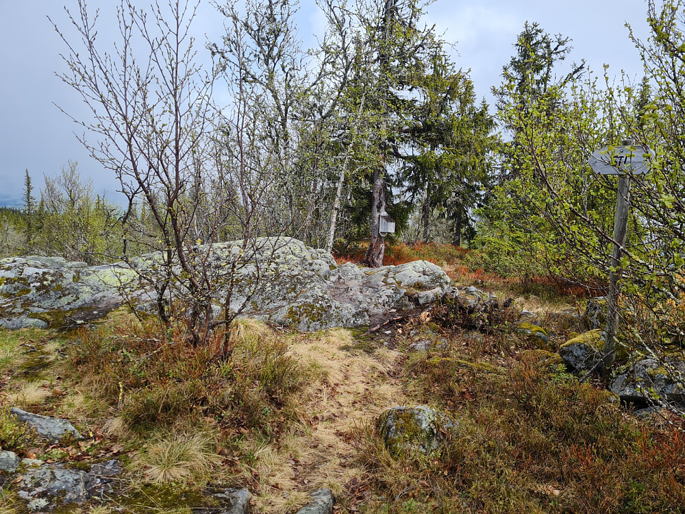Vardkampen
