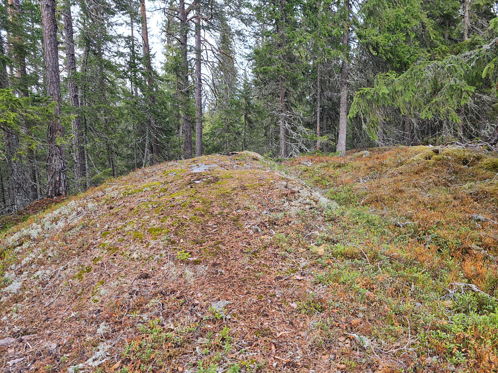 Rundhaugen