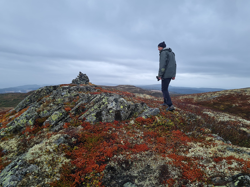 På Hindalsfjellet. Lyngen tyder på oktober, selv om vi skriver mai