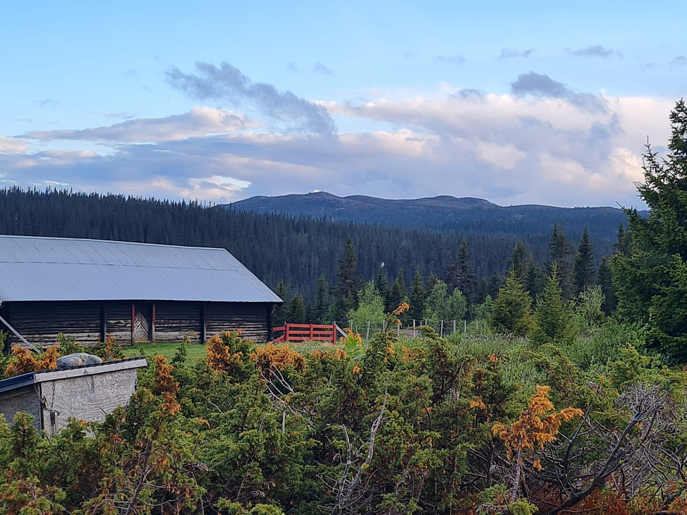 Skårsetra mot Gammelhans