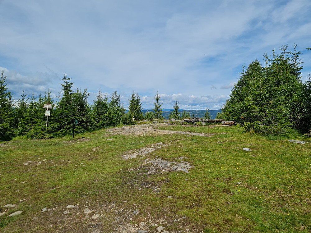 På Balbergkampen